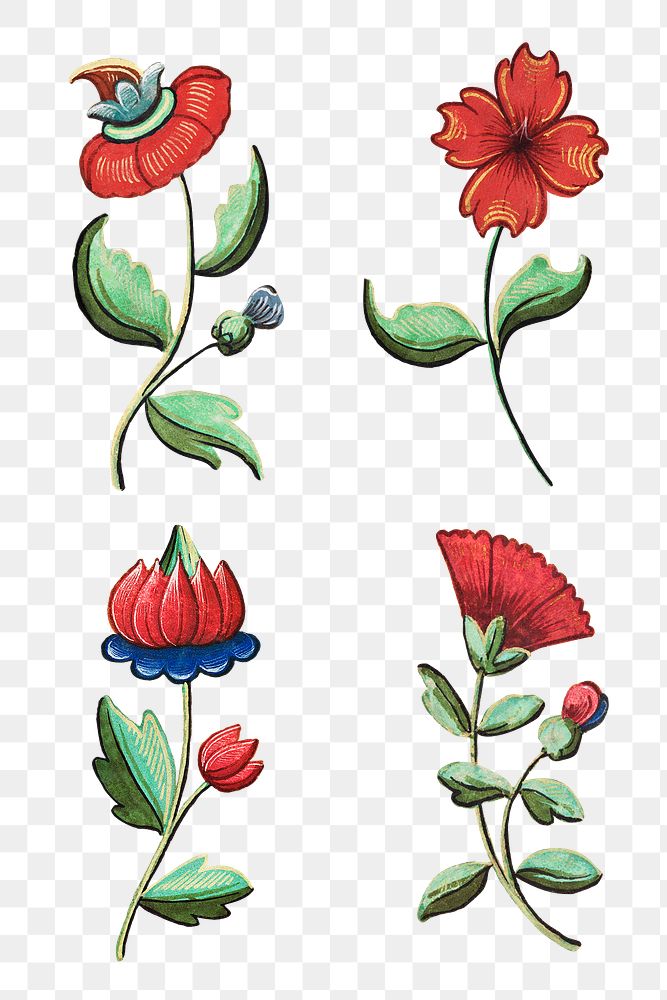 Vintage png red flower illustration set, featuring public domain artworks