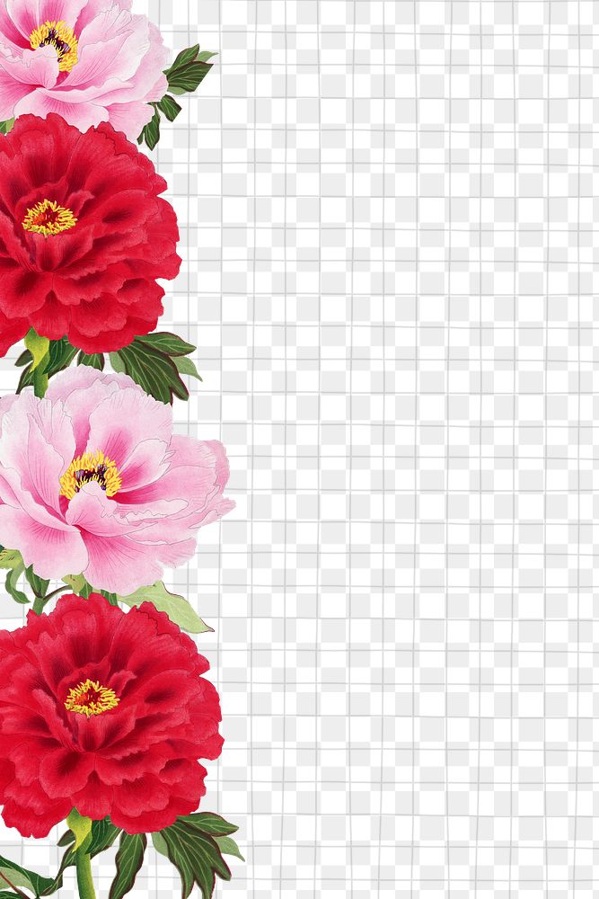 Peony png border, red & pink flower sticker, floral design on transparent background