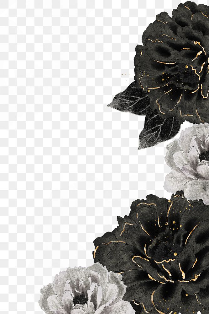 Peony png border, black, white, and gold color on transparent background