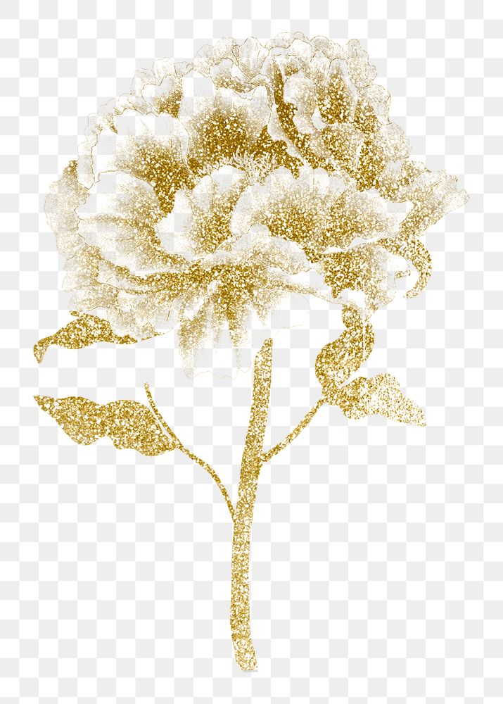 Gold peony png sticker, botanical flower design element on transparent background