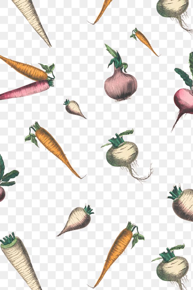 Root crops png pattern transparent background, remix from artworks by by Marcius Willson and N.A. Calkins