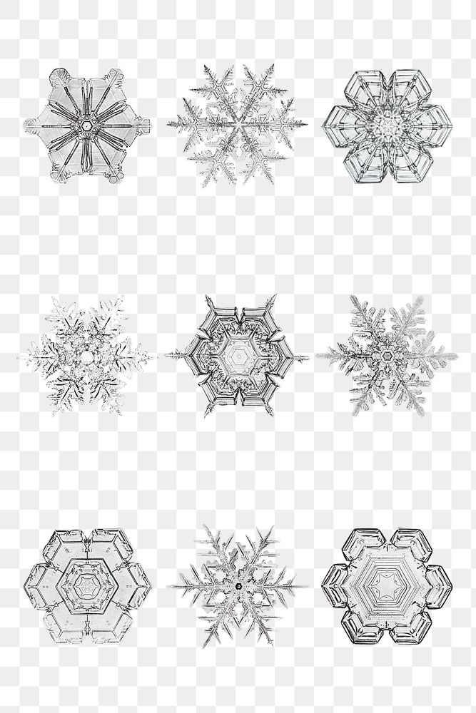 Snowflake transparent set season&rsquo;s greetings ornament macro photography, remix of photography by Wilson Bentley