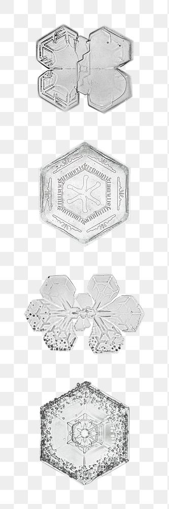 Snowflake png set Christmas ornament macro photography, remix of photography by Wilson Bentley