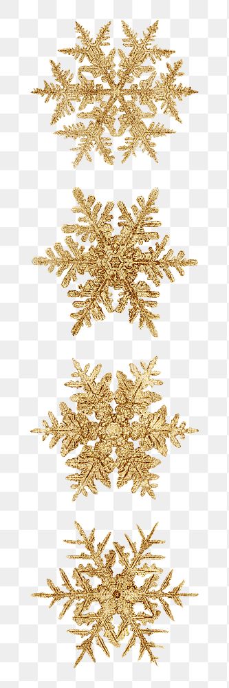 Season&rsquo;s greetings gold snow flake png Christmas ornament macro photography set, remix of photography by Wilson Bentley