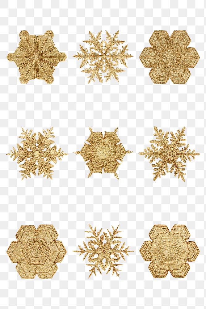 Christmas gold snowflake png set macro photography, remix of art by Wilson Bentley