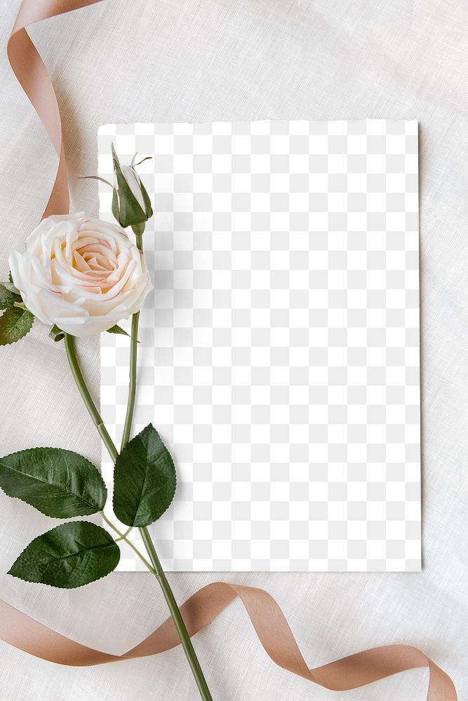 Rose flower by a card mockup design element 