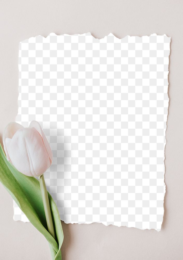 Tulip flower on a paper mockup 
