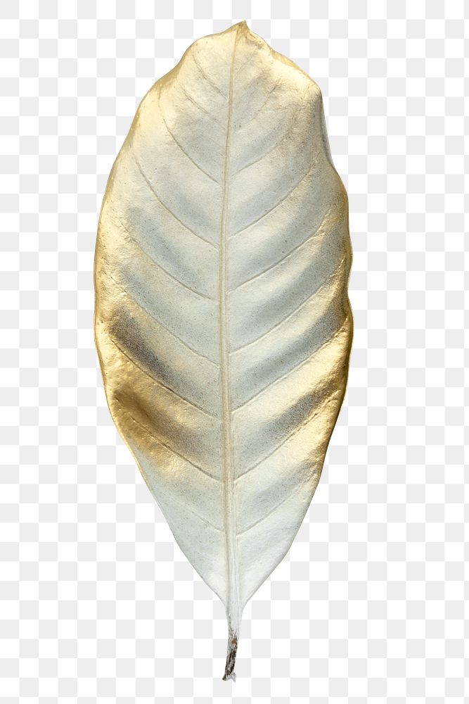 Shiny gold leaf transparent png