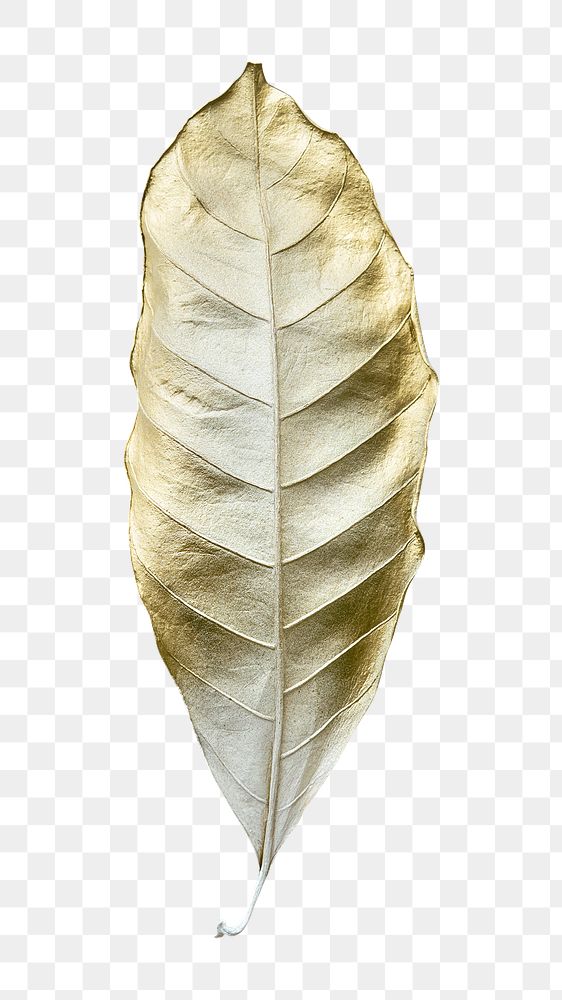 Leaf painted in gold and white design element