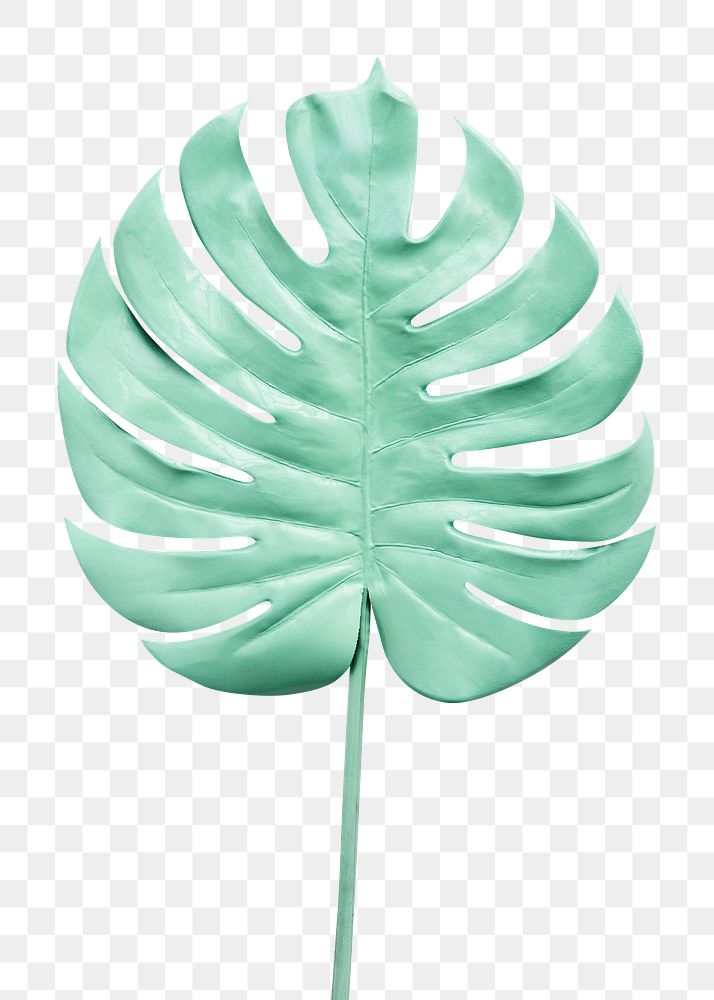 Monstera leaf painted in mint green element transparent png