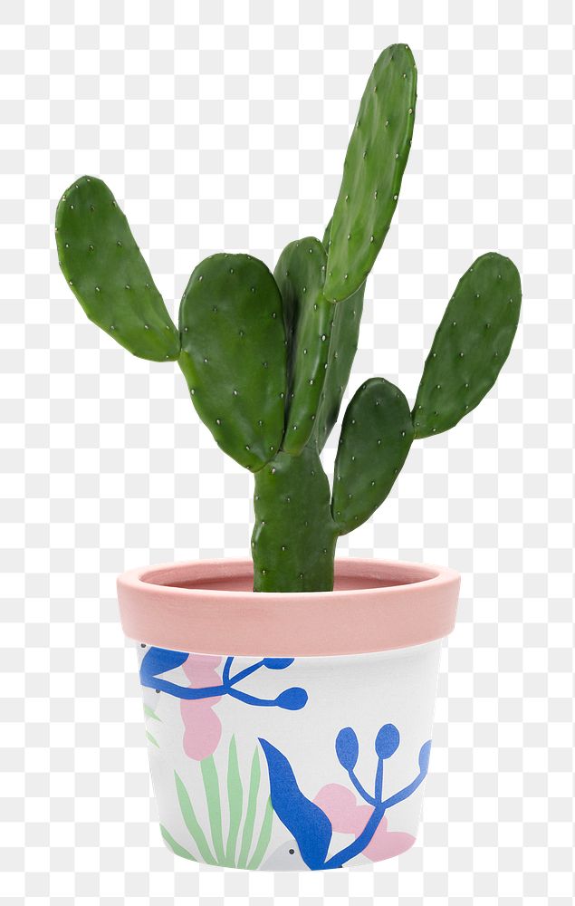 Cereus cactus plant png mockup in a patterned pot