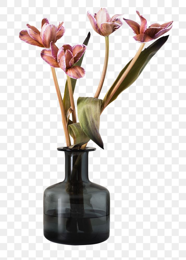 Aesthetic png flower in vase png, tulip, isolated object