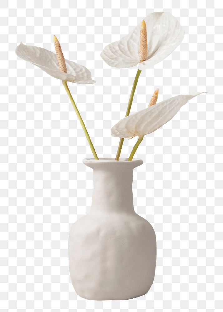 White laceleaf flower png element sticker, vase on transparent background