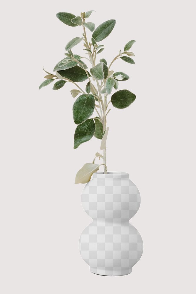 Vase mockup png, brachyglottis houseplant