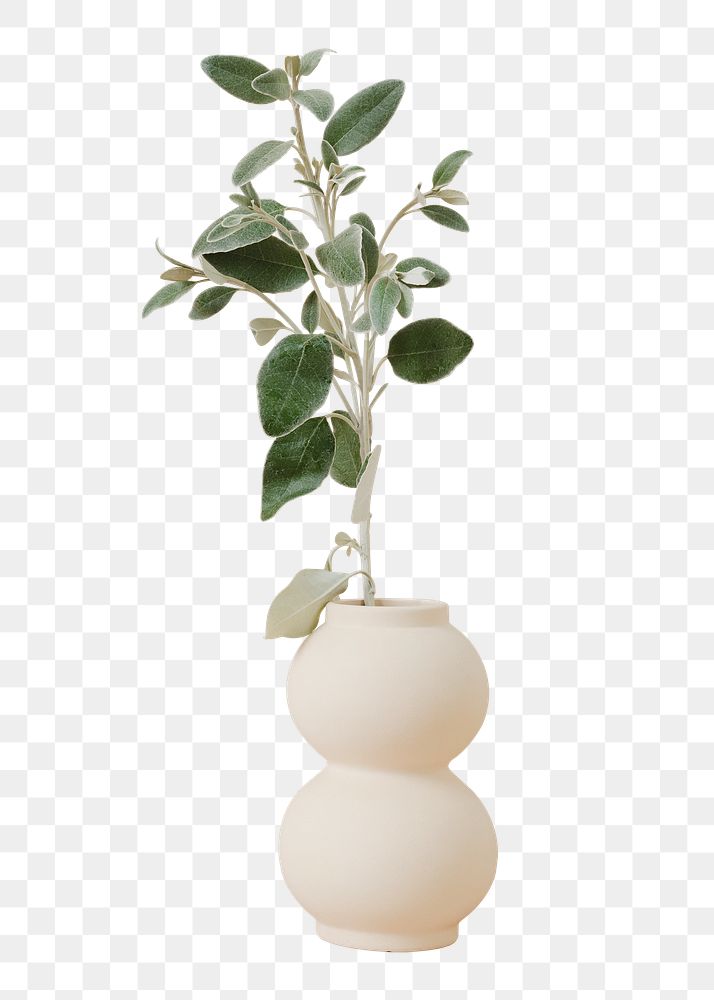 Flower vase png element sticker, transparent background