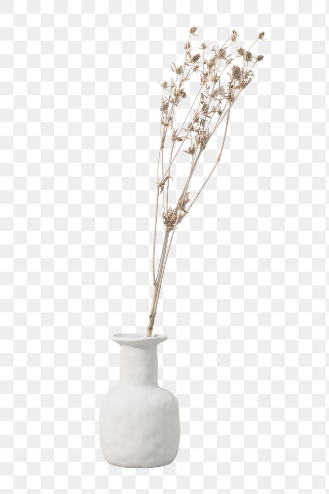 Flower vase png element sticker, transparent background