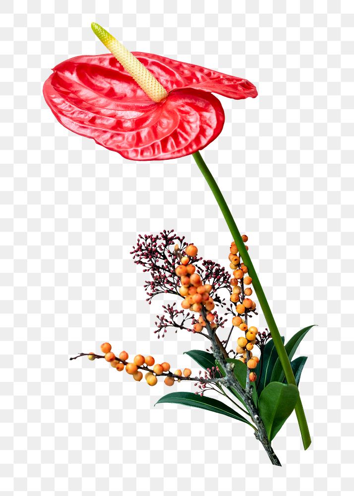 PNG red flower bouquet sticker