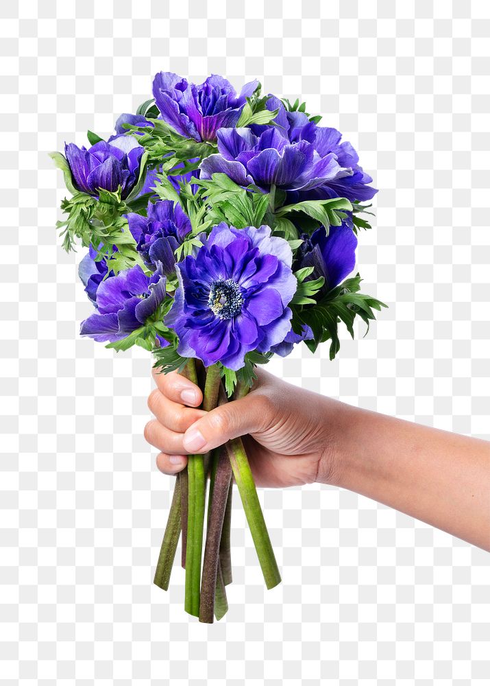 Anemone bouquet png, held by hand, collage element