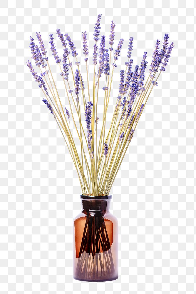 Lavender in vase png, isolated object, collage element design
