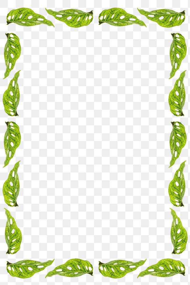 Green leaves rectangle frame design element