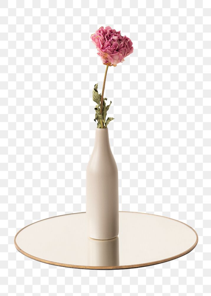 Dried pink peony flower in a beige vase on a shiny tray