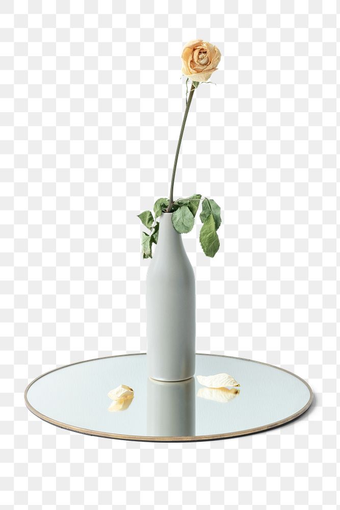 Dried white rose in a vase on a shiny round tray design element