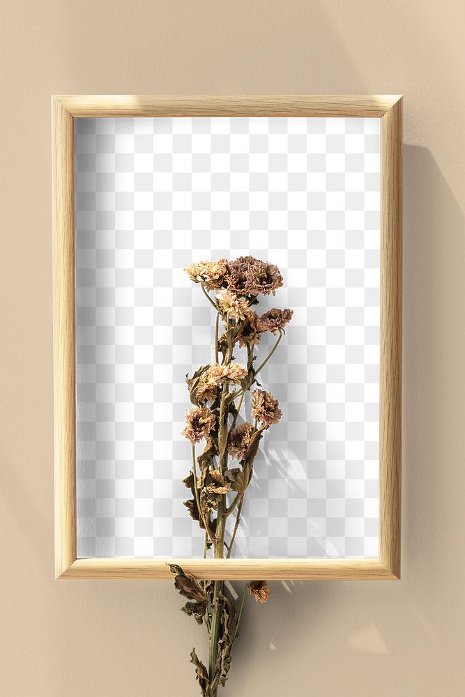 Dried chrysanthemum flower in a woode frame mockup