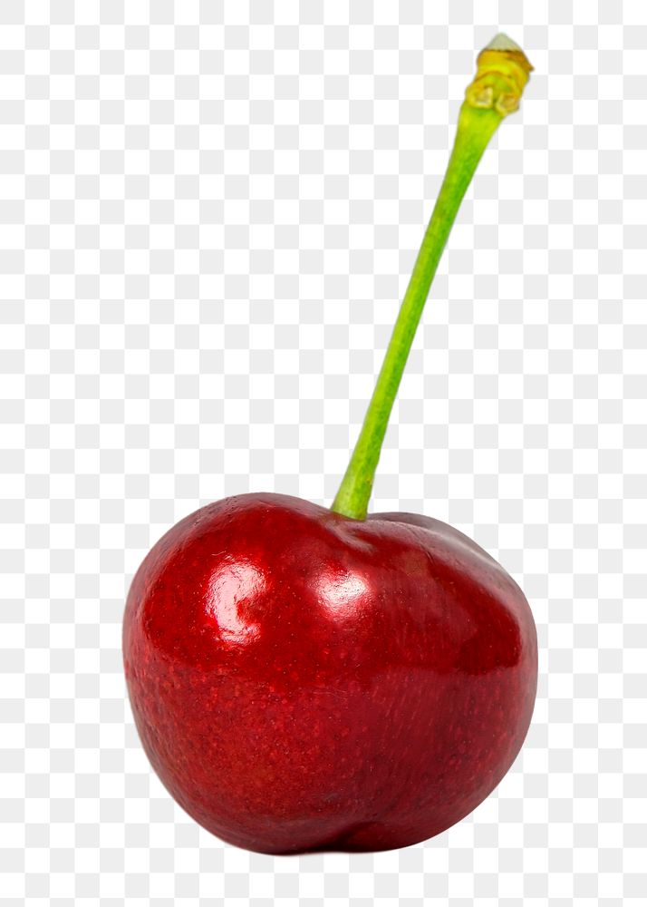 Red cherry png clipart, organic fruit on transparent background
