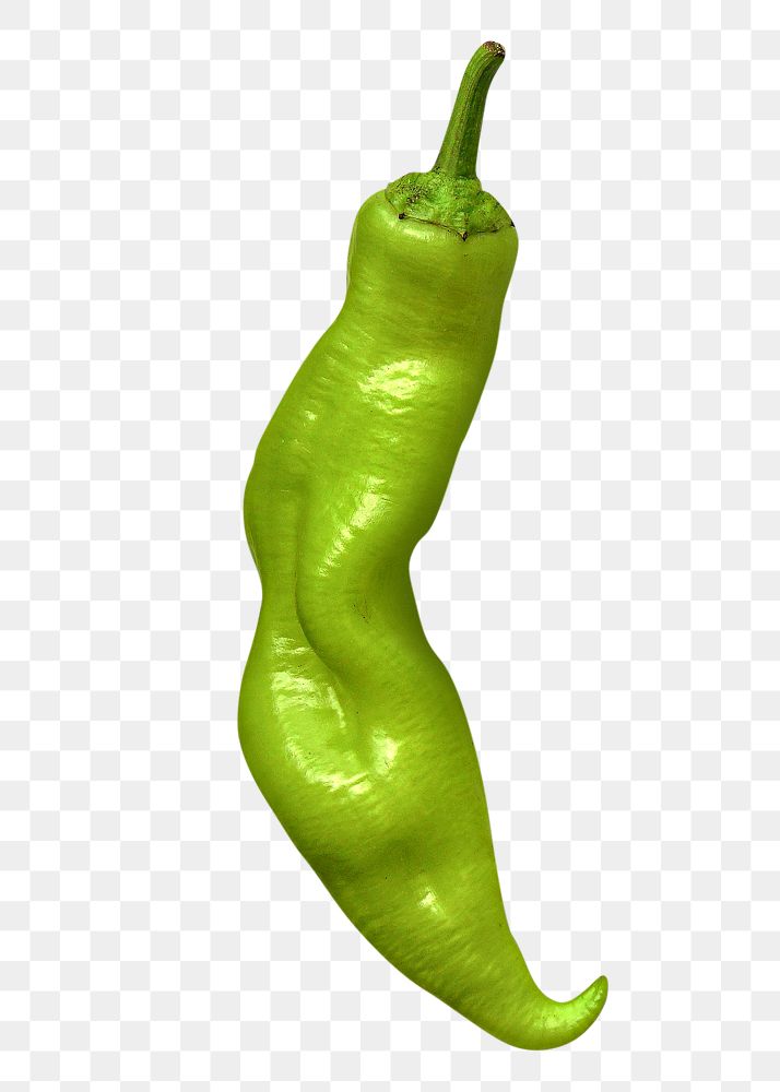 Green chili png pepper clipart, fresh vegetable