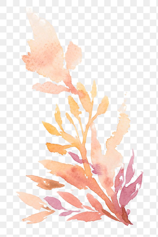Watercolor png leaf orange floral autumn seasonal graphic