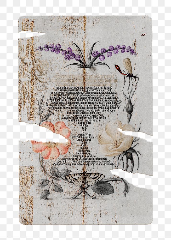 Floral ripped png poster, abstract paper on the wall on transparent background