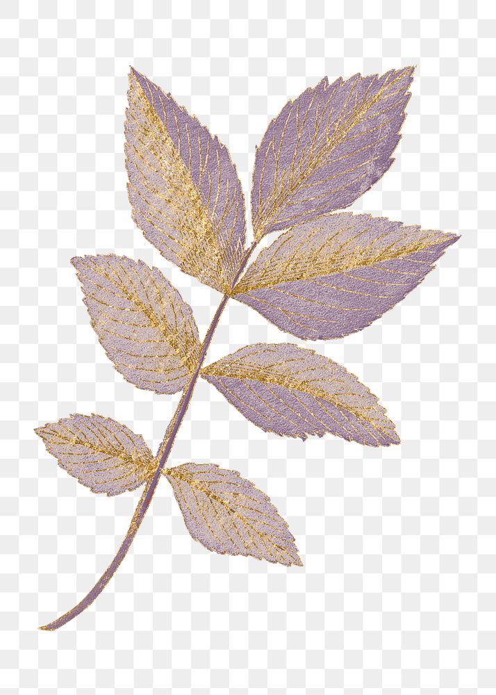 Aesthetic purple leaf png clipart, gold glitter decoration on transparent background