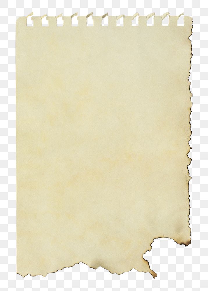 Ripped note png paper, brown blank design space on transparent background