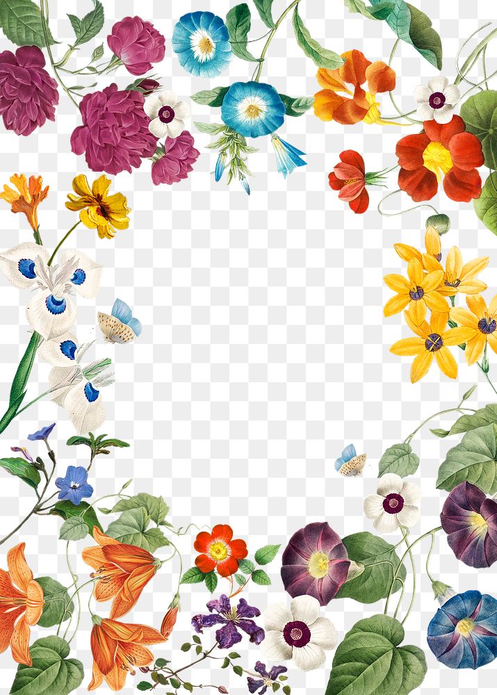 Botanical png frame, transparent background, remix from the artworks of Pierre Joseph Redouté