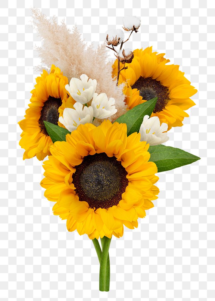 Png sunflowers flower sticker, botanical | Premium PNG - rawpixel
