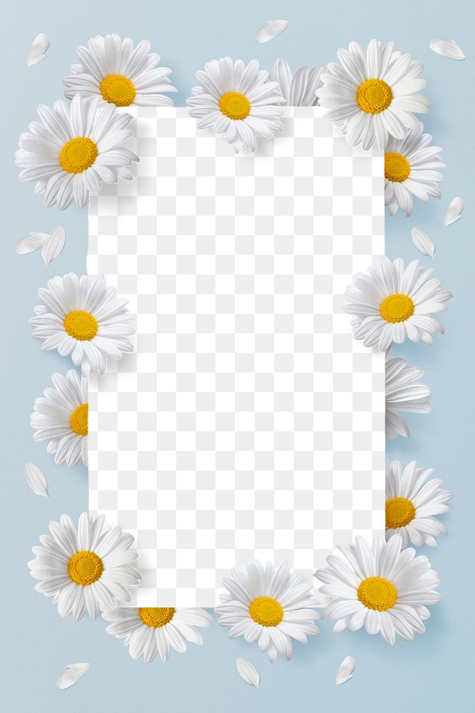 Png white flowers frame, floral design in transparent background