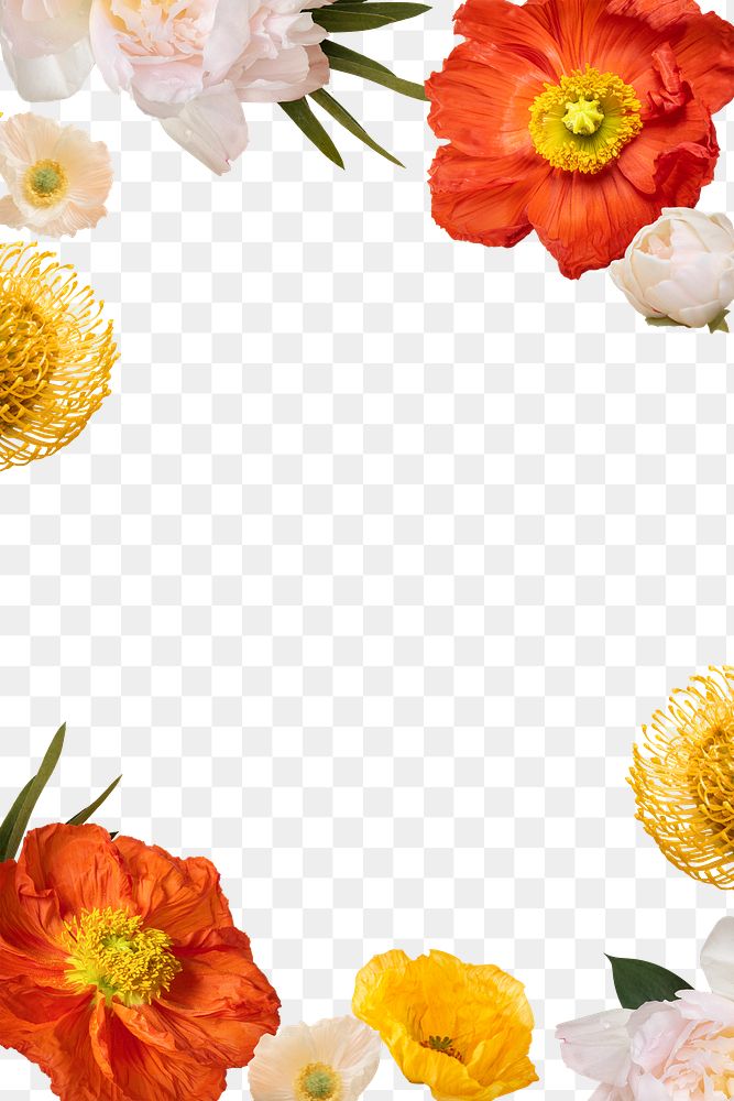 Colorful png bouquet frame, floral design in transparent background