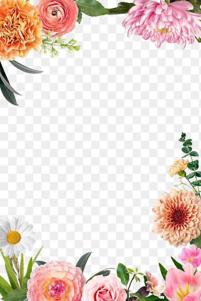 Aesthetic png botanical frame, floral design in transparent background