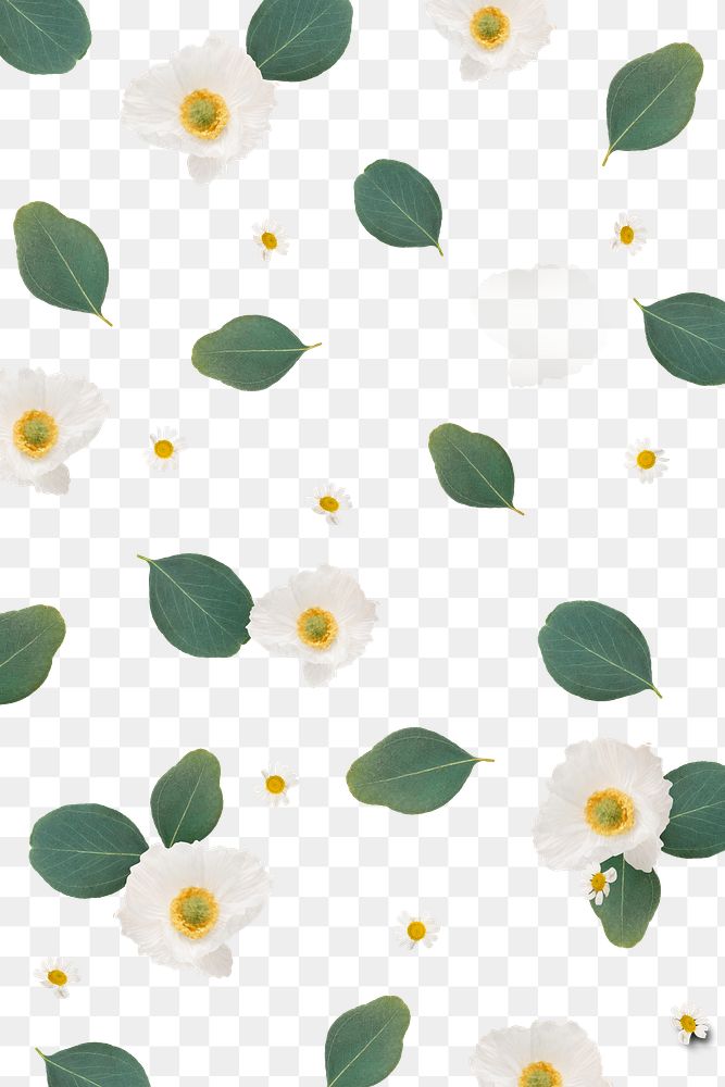 Floral pattern png, botanical, transparent background