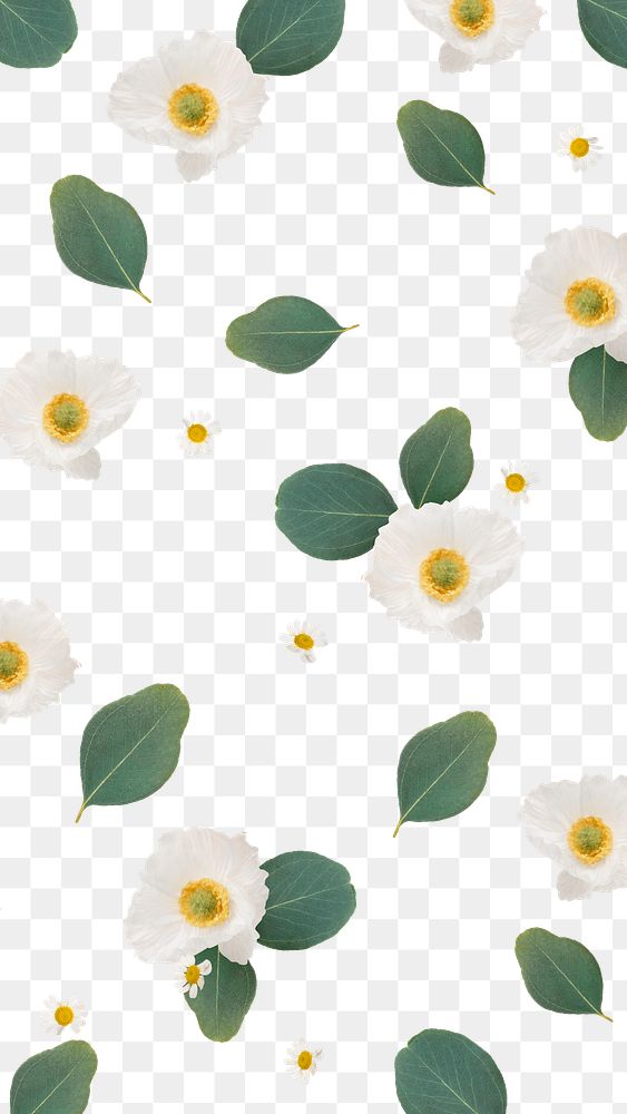White poppy png background, transparent flower pattern