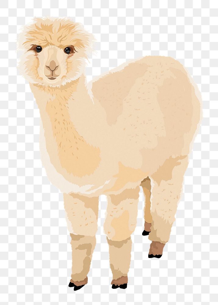 White alpaca png sticker, illustration | Premium PNG Illustration ...