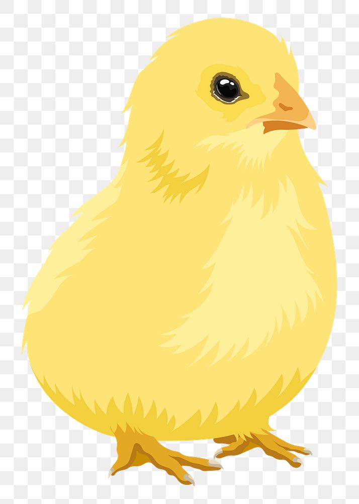 Baby chick png illustration sticker, transparent background