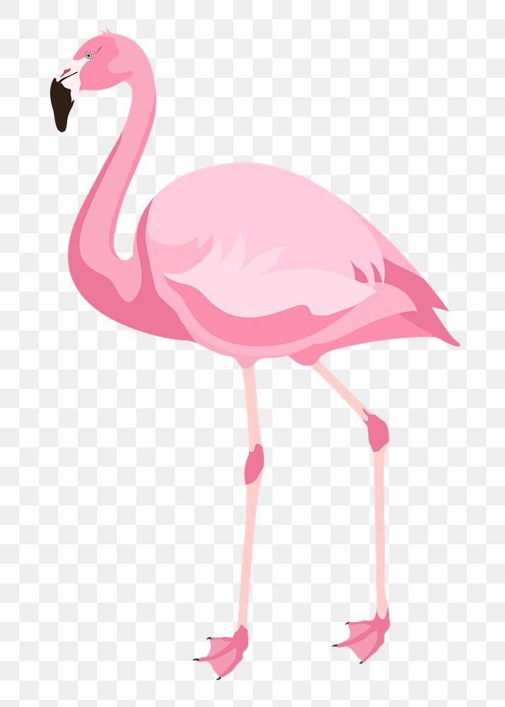 PNG pink flamingo illustration, animal sticker, transparent background