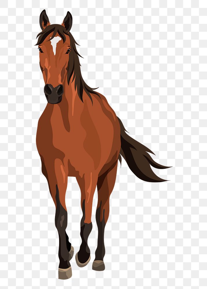 PNG brown horse galloping, animal illustration sticker, transparent background