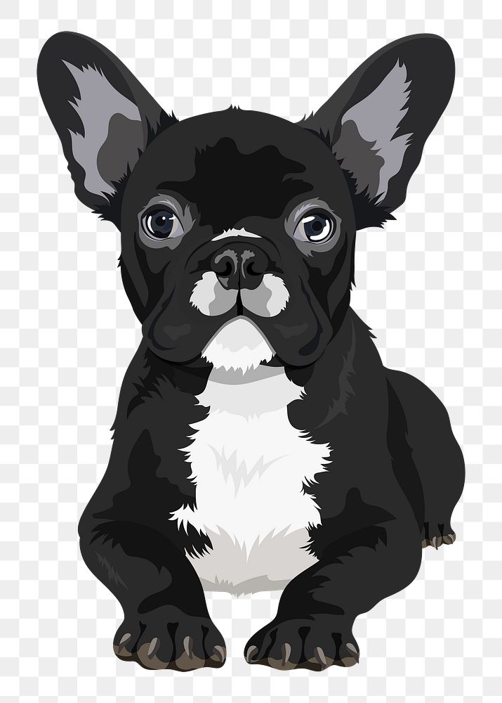 PNG french bulldog, puppy illustration sticker, transparent background