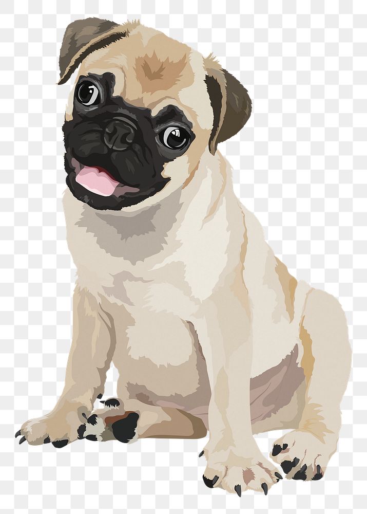Pug puppy png, cute animal illustration sticker, transparent background