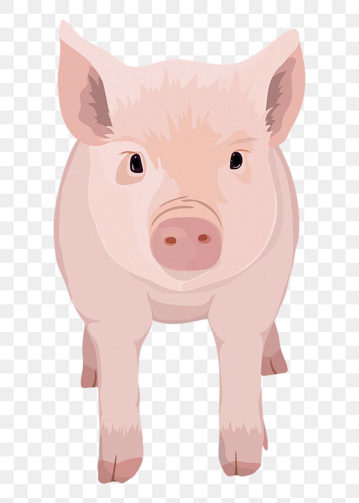 Cute piglet png illustration, farm animal, digital sticker, transparent background
