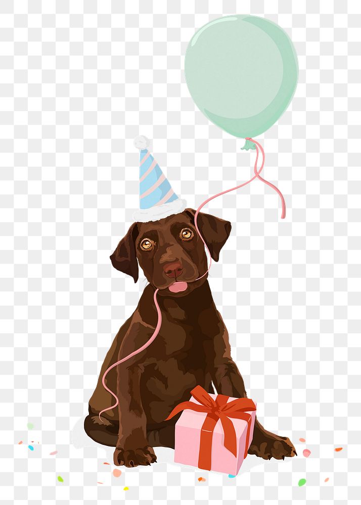 Birthday dog png sticker, brown labrador puppy with a gift box illustration, transparent background