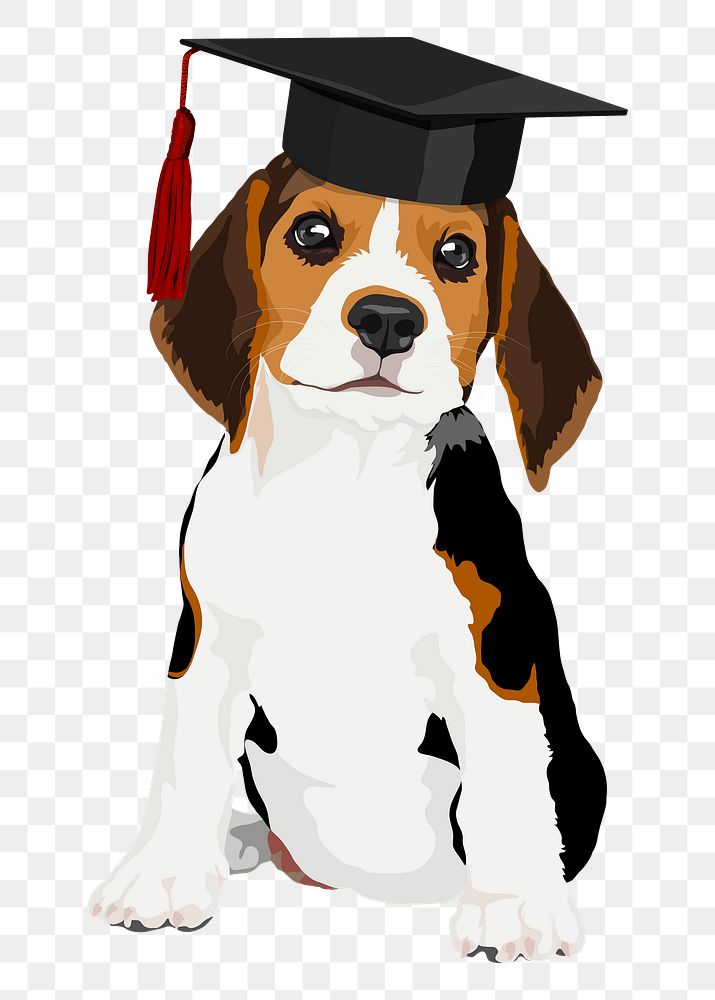 PNG beagle puppy sticker, education and graduation illustration, transparent background