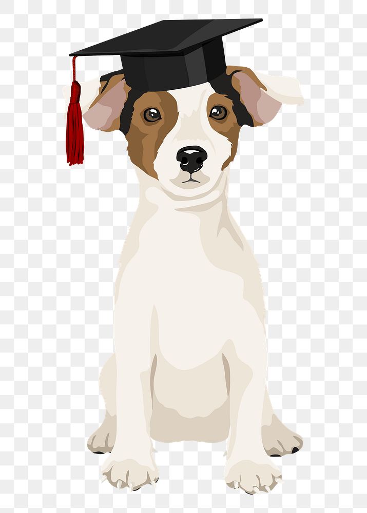 PNG smart puppy sticker, Jack Russell Terrier, education and graduation clipart, transparent background
